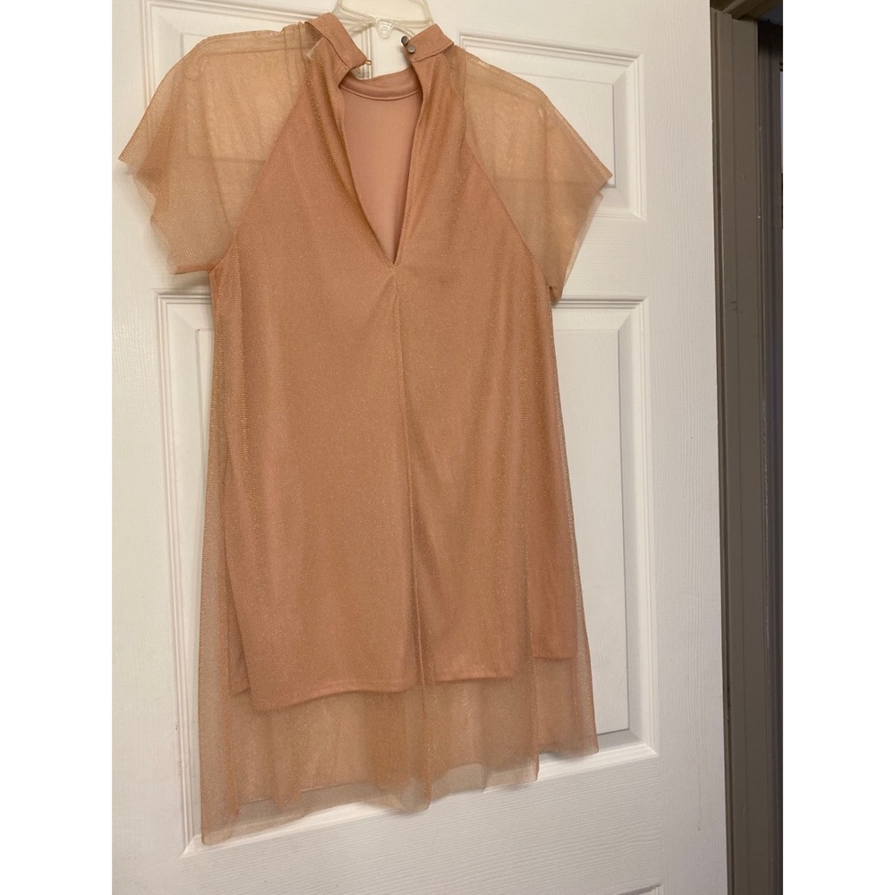 Forever 21 Pink/Gold Mesh Dress Size US (S)